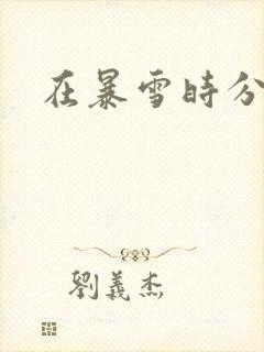 在暴雪时分男主封面