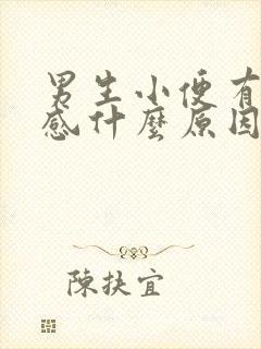 男生小便有刺痛感什么原因