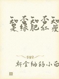 知否知否知否应是绿肥红瘦免费观看