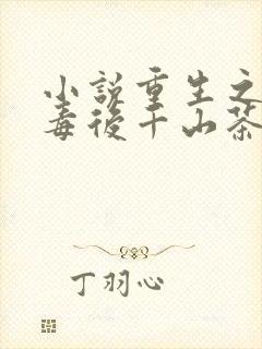 小说重生之将门毒后千山茶客正版