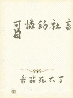 可怜的社畜东度日