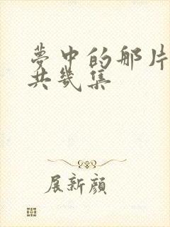 梦中的那片海一共几集