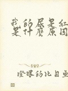 我的尿是红色的是什么原因封面