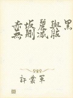 赤坂丽与黑人的无删减版