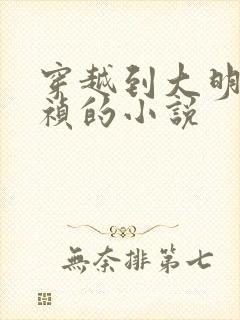 穿越到大明当崇祯的小说