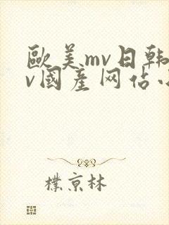 欧美mv日韩mv国产网站小说封面