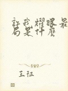 许我耀眼最后结局是什么