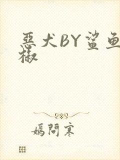 恶犬BY鲨鱼辣椒