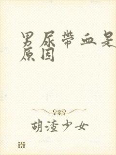 男尿带血是什么原因