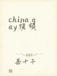 china gay视频