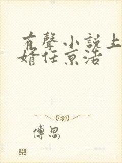 有声小说上门龙婿任京浩