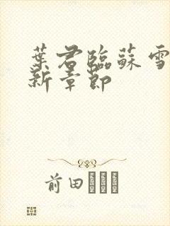 叶君临苏雪儿最新章节封面