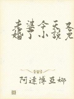 老婆今天又想离婚了小说免费阅读封面