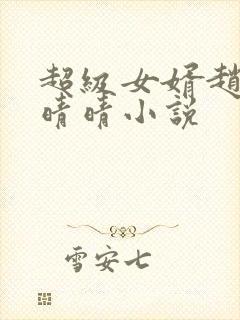 超级女婿赵旭李晴晴小说