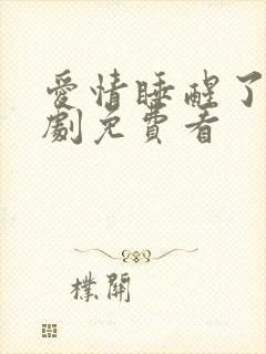 爱情睡醒了电视剧免费看