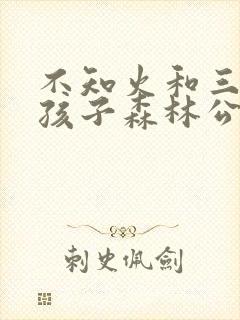 不知火和三个小孩子森林公园封面