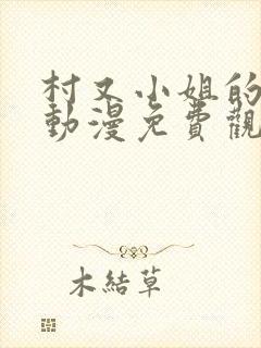 村又小姐的秘密动漫免费观看封面