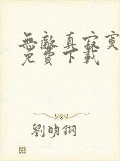 无敌真寂寞小说免费下载