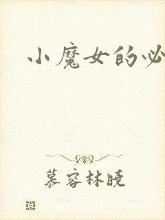 小魔女的必杀技