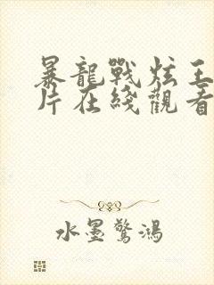 暴龙战炫王动画片在线观看免费全集