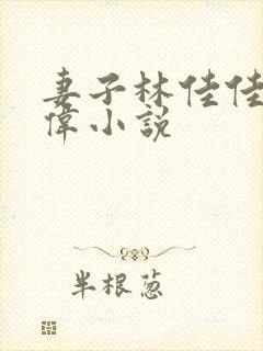 妻子林佳佳周东伟小说封面