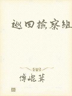 巡回检察组结局