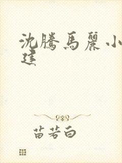 沈腾马丽小品郝建