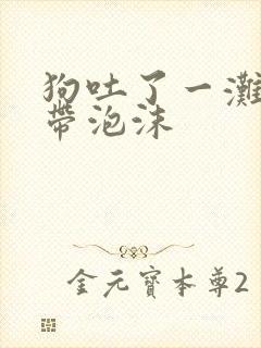 狗吐了一滩黄水带泡沫