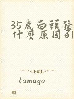 35岁白头发是什么原因引起的 怎样调理