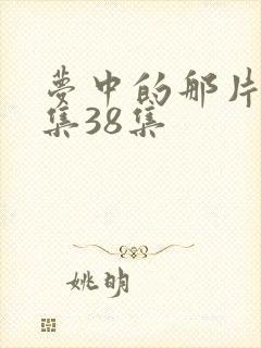 梦中的那片海全集38集