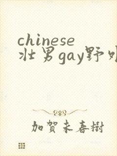 chinese壮男gay野外xx封面