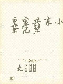 皇家共享小公主萧凭儿