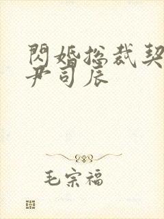 闪婚总裁契约妻尹司辰