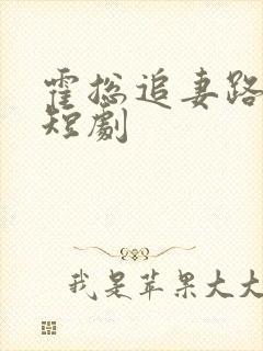 霍总追妻路漫漫短剧