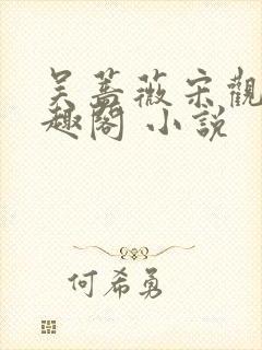 吴蔷薇宋观潮笔趣阁 小说