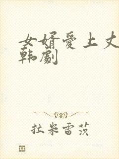 女婿爱上丈母娘韩剧封面