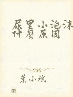 尿里小泡沫多是什么原因