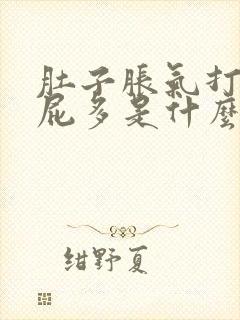 肚子胀气打嗝放屁多是什么原因