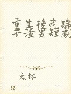 重生后我踹了太子渣男短剧免费观看封面