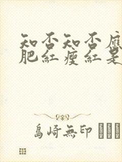 知否知否应是绿肥红瘦红是什么花