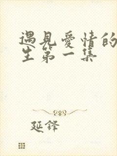 遇见爱情的利先生第一集封面