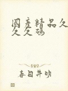 国产精品久久久久久码封面