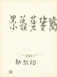 黑莲花攻略手册小说免费阅读全文