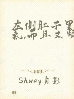 左侧肚子里有胀气,而且又频繁放屁封面