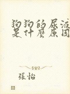 狗狗的尿液很黄是什么原因