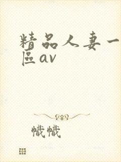 精品人妻一区二区av