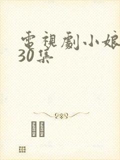 电视剧小娘惹第30集