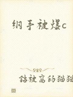 纲手被爆c