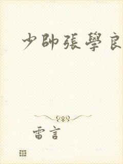 少帅张学良表嫂