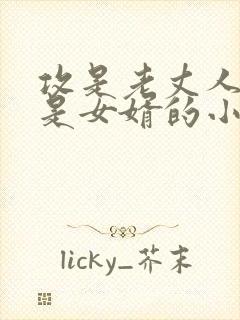 攻是老丈人,受是女婿的小说生子文